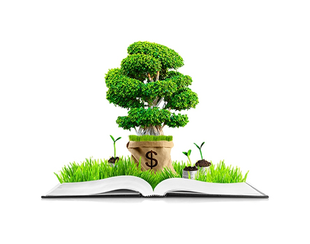 Green Accounting